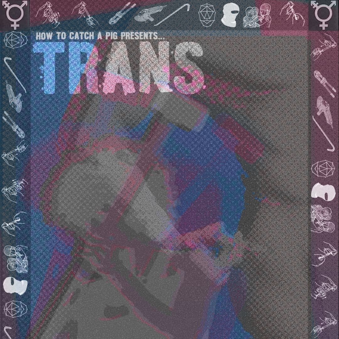 How To Catch a Pig - TRANS REVENGE